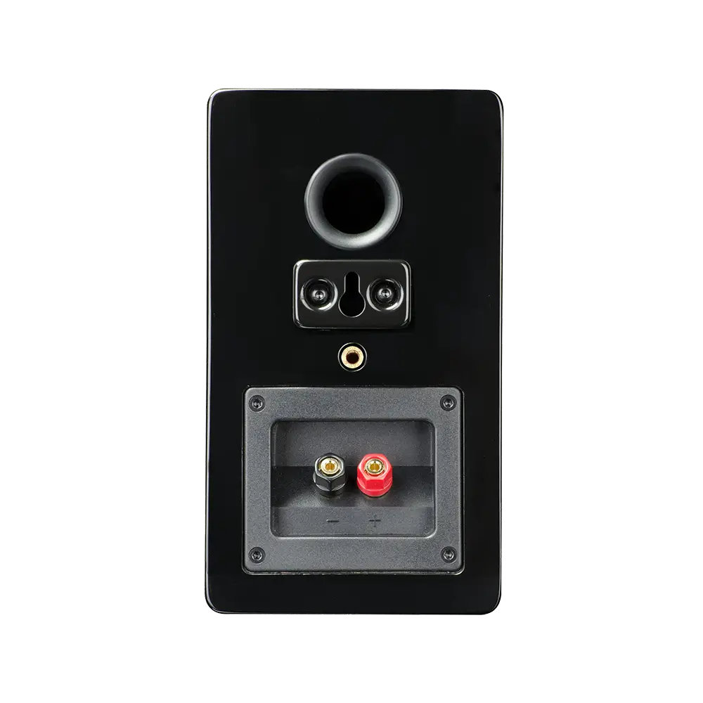 SVS_prime_satellite_PG_back_insert