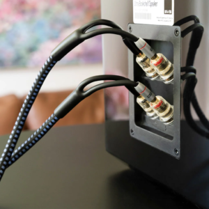 SVS SoundPath Ultra Bi-Wire Speaker Kabel